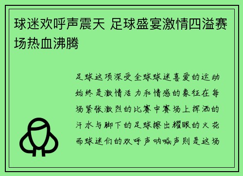 球迷欢呼声震天 足球盛宴激情四溢赛场热血沸腾