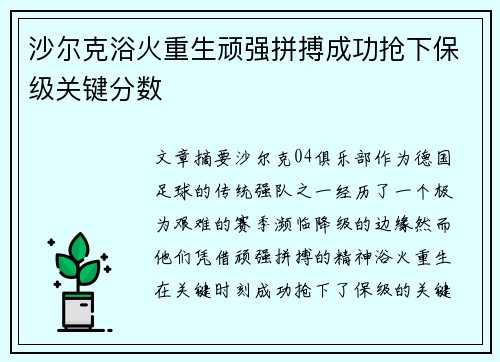 沙尔克浴火重生顽强拼搏成功抢下保级关键分数