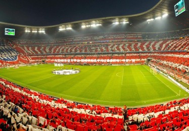 九游娱乐官方平台-挪威帆船选手闯过重重困难，夺冠，挪威船队