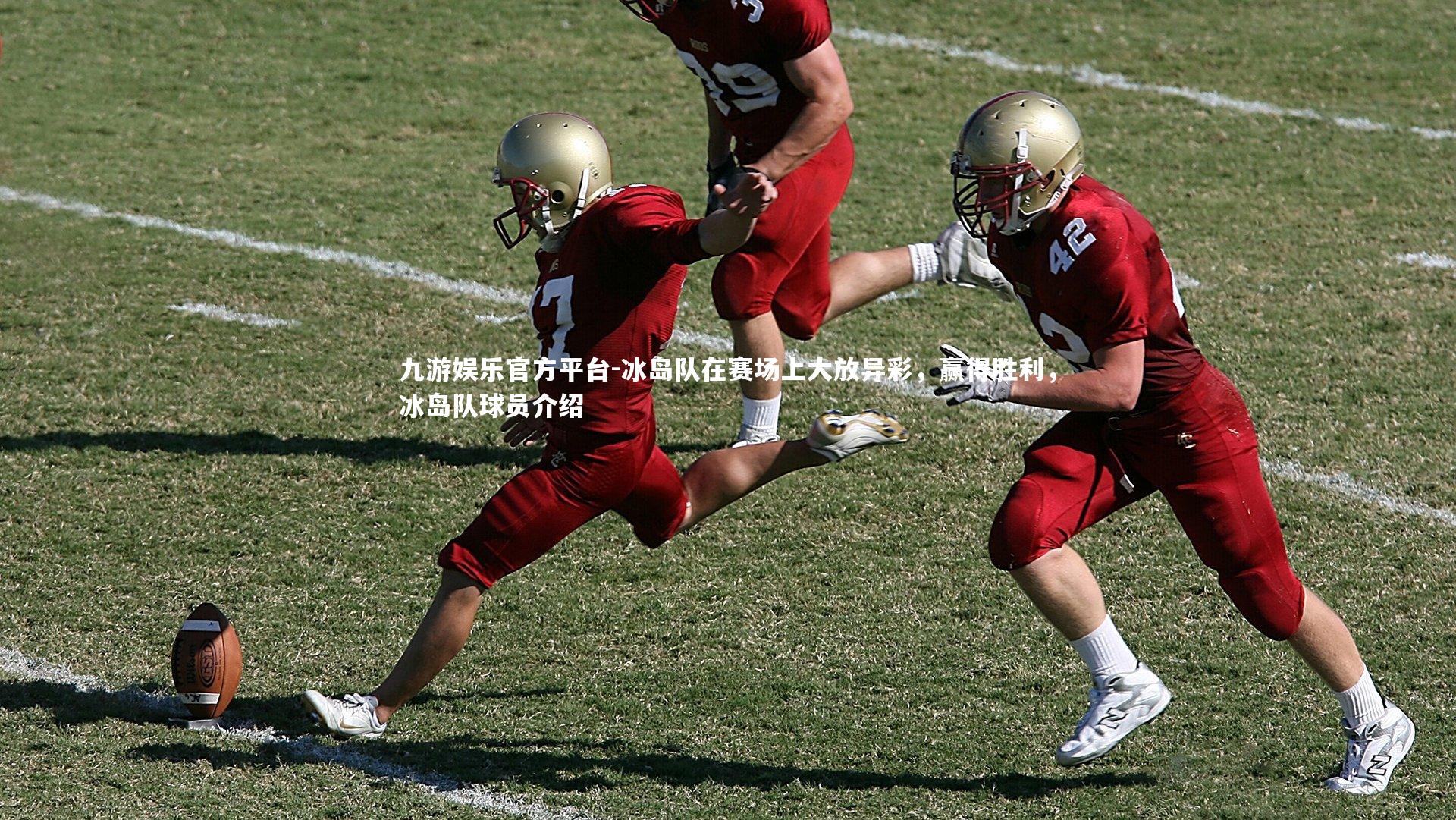 冰岛队在赛场上大放异彩,赢得胜利,冰岛队球员介绍